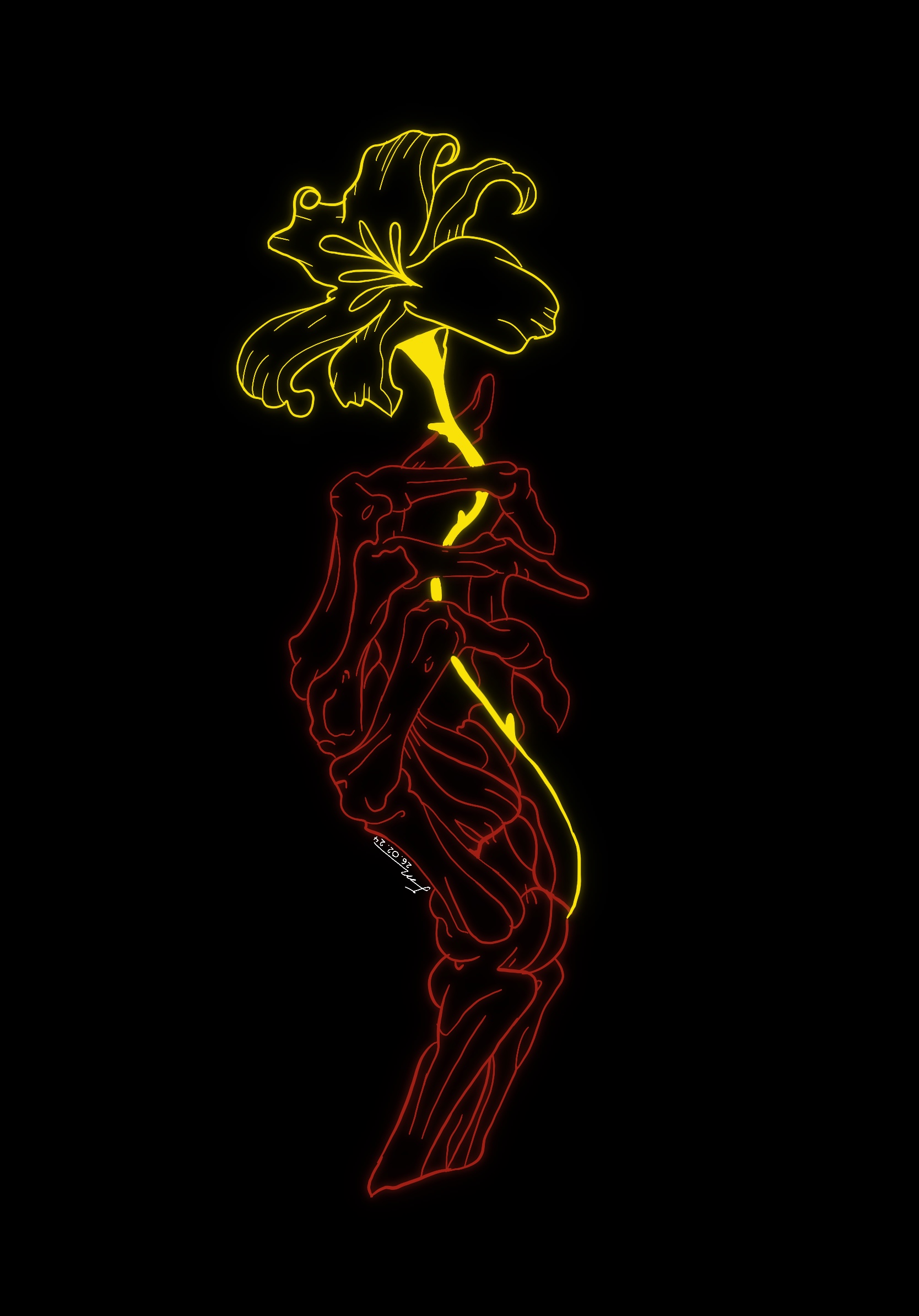 Illustrations project image 9